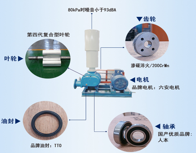 章丘豐源機械羅茨鼓風機產品結構說明圖